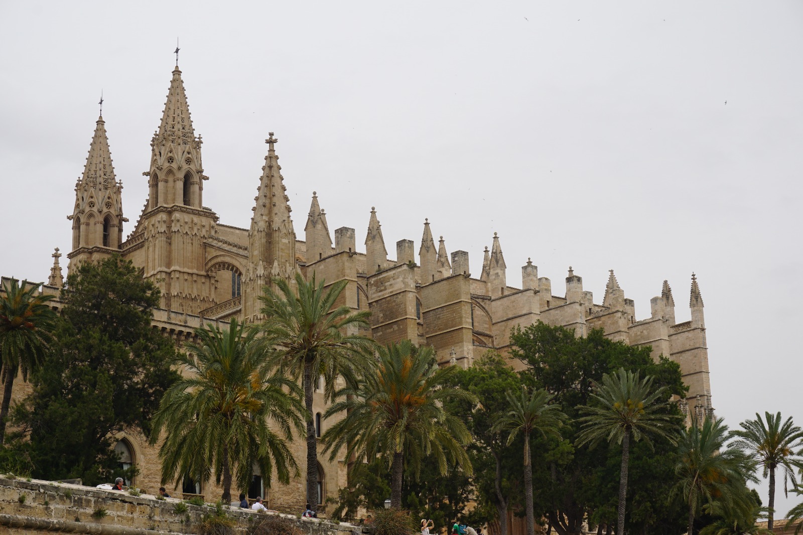 İspanya'nın En Büyüklerinden biri - Palma de Mallorca Katedrali